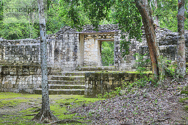 Portal  Structure IV-B  Balamku Archaeological Zone  Mayan Ruins  Campeche State  Mexico  North America