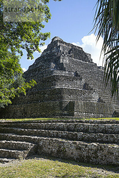 Temple 24  Mayan Site  Chacchoben Archaeological Zone  Chacchoben  Quintana Roo State  Mexico  North America
