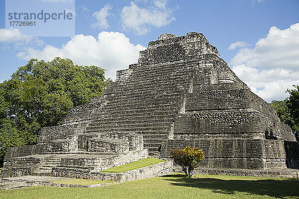 Tempel 1  Maya-Stätte  archäologische Zone Chacchoben  Chacchoben  Bundesstaat Quintana Roo  Mexiko  Nordamerika