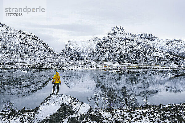 Person  die die schneebedeckten Berge bewundert  die sich im gefrorenen Meer spiegeln  Flakstadpollen  Flakstadoya  Nordland  Lofoten-Inseln  Norwegen  Skandinavien  Europa