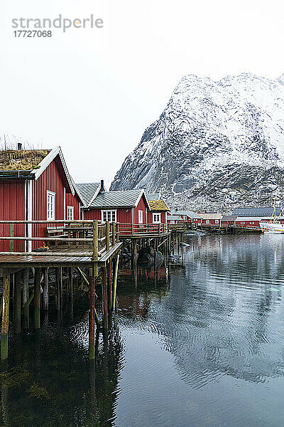 Rote Rorbu-Hütten mit Grasdach im kleinen Hafen von Reine  Kreis Nordland  Lofoten  Norwegen  Skandinavien  Europa