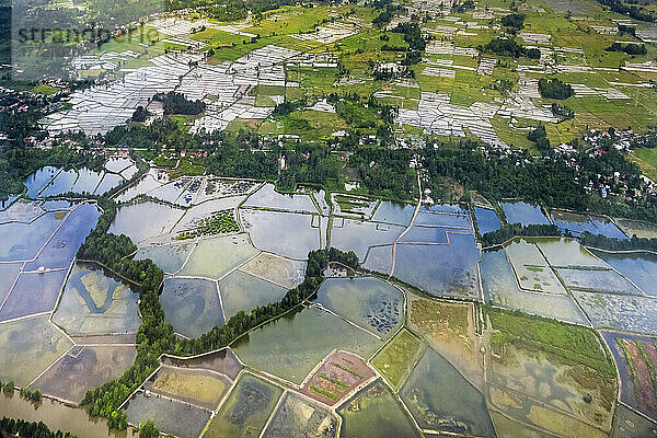 Reisfelder und Fischteiche an der Mündungsküste des Golfs von Boni in der Nähe von Süd-Sulawesis zweitgrößter Stadt  Palopo  Luwu  Süd-Sulawesi  Indonesien  Südostasien  Asien
