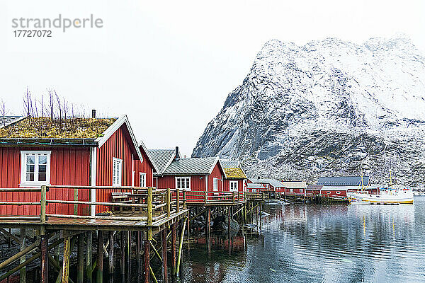 Traditionelle rote Hütten mit Strohdach und dem majestätischen Berg Reinebringen im Hintergrund  Hafen Reine  Lofoten  Norwegen  Skandinavien  Europa