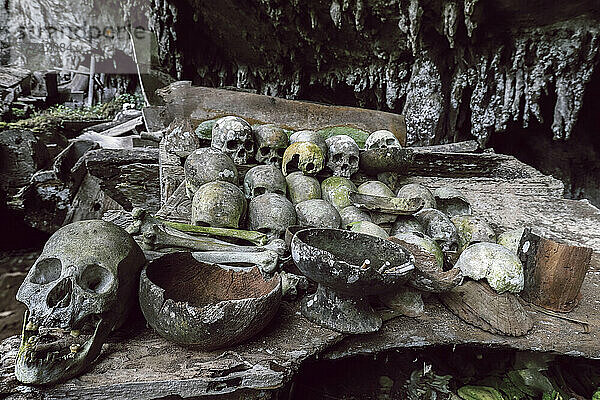 Schädel in einer 700 Jahre alten Grabhöhle in Lombok Parinding  nördlich von Rantepao  Lombok Parinding  Toraja  Süd-Sulawesi  Indonesien  Südostasien  Asien