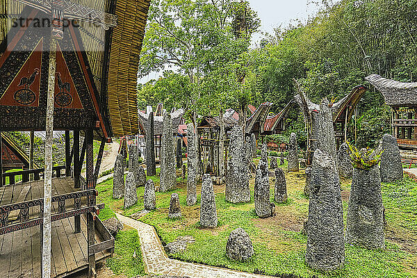 Bori Kalimbuang  megalithische Grabstätte mit 102 Menhiren in der Nähe von Rantepao  Bori  Rantepao  Toraja  Süd-Sulawesi  Indonesien  Südostasien  Asien