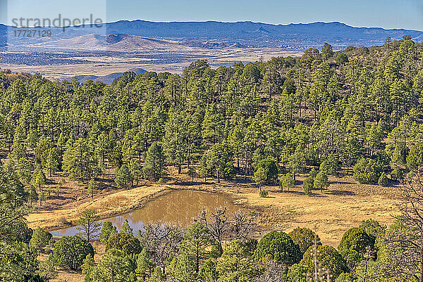 Viehtank vom Woodchute Mountain Trail aus gesehen  im Prescott National Forest mit Prescott im Hintergrund  Arizona  Vereinigte Staaten von Amerika  Nordamerika