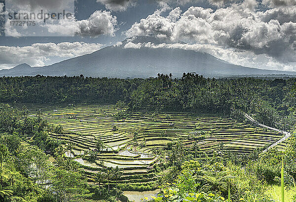 Reisterrassen und Felder mit dem Vulkan Gunung Agung im Hintergrund  umgeben von Wolken  Bali  Indonesien  Südostasien  Asien