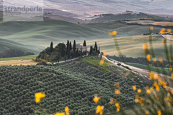 Podere Belvedere-Hügel bei Sonnenaufgang  Val d'Orcia  UNESCO-Weltkulturerbe  Toskana  Italien  Europa