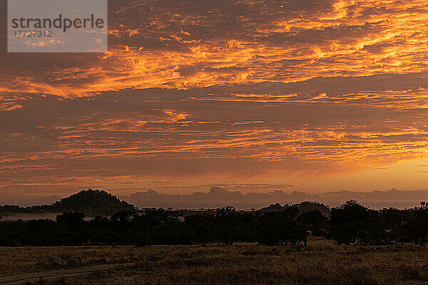 Ein Sonnenaufgang über der afrikanischen Savanne
