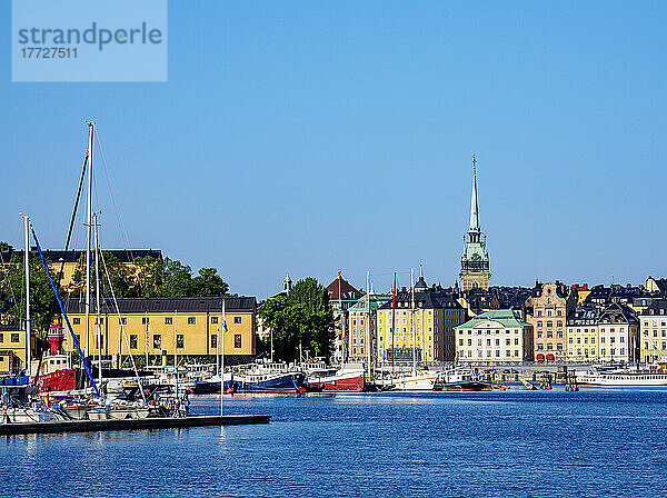 Blick auf die Gamla Stan  Stockholm  Stockholms län  Schweden  Skandinavien  Europa