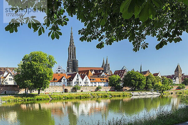 Blick über die Donau auf das Ulmer Münster und die Altstadt  Ulm  Baden-Württemberg  Deutschland  Europa