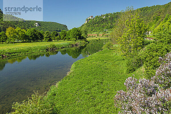 Burg Werenwag  Hausen an der Donau  Donautal  Schwäbische Alb  Baden-Württemberg  Deutschland  Europa