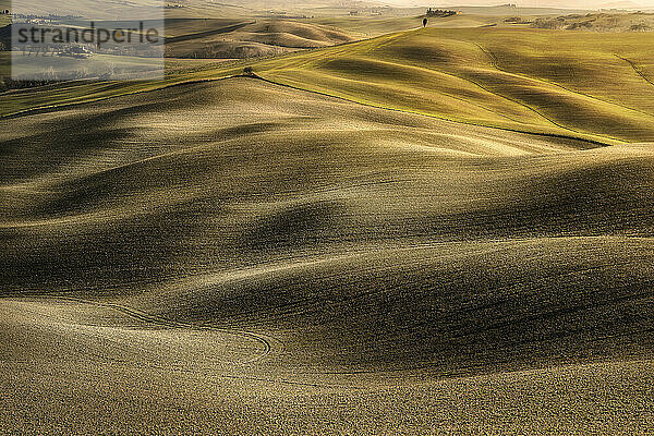 Gentle rolling hills of Val d'Orcia in winter time  Tuscany  Italy  Europe