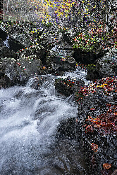 Long exposure of a waterfall flowing between rocks in a wood during autumn  Emilia Romagna  Italy  Europe