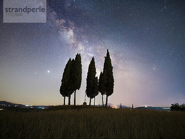 Milky way above a group of cypresses  Val d'Orcia  Tuscany  Italy  Europe