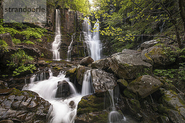 Dardagna waterfalls in the wood  flowing between rocks  Emilia Romagna  Italy  Europe
