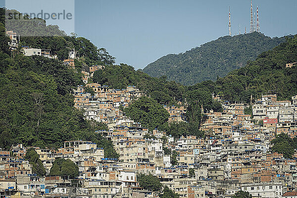 Tabajaras-Cabritos Favela Slum  verarmte Gemeinde mit schlechten Wohnverhältnissen  Nationalpark Tijuca  Rio de Janeiro  Brasilien  Südamerika