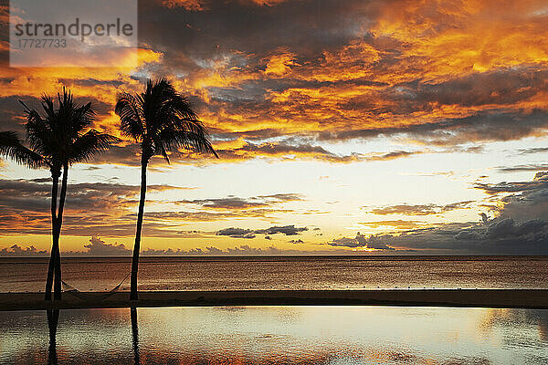 Palmen  die sich vor roten Wolken abheben  spiegeln sich in einem Infinity-Pool während des Sonnenuntergangs über einem Strand in Flic en Flac  Mauritius  Indischer Ozean  Afrika