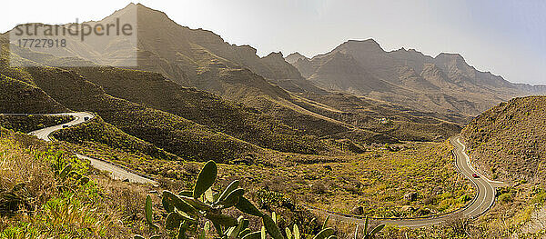 Blick auf Straße und Flora in bergiger Landschaft in der Nähe von Tasarte  Gran Canaria  Kanarische Inseln  Spanien  Atlantik  Europa