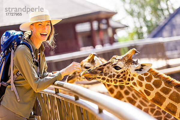 Frau genießt die Giraffen in einem örtlichen Elefanten- und Giraffenschutzgebiet  Kenia  Ostafrika  Afrika