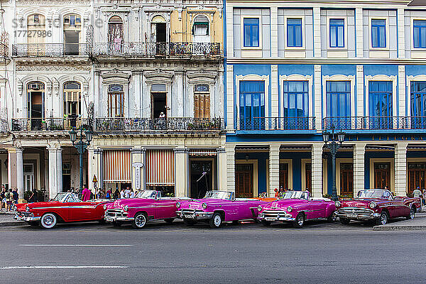 Rote und rosafarbene amerikanische Oldtimer-Taxis auf der Straße in Havanna  Kuba  Westindien  Mittelamerika