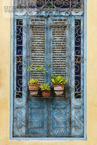 Plants in pots hanging on ornate doorway  Havana  Cuba  West Indies  Central America