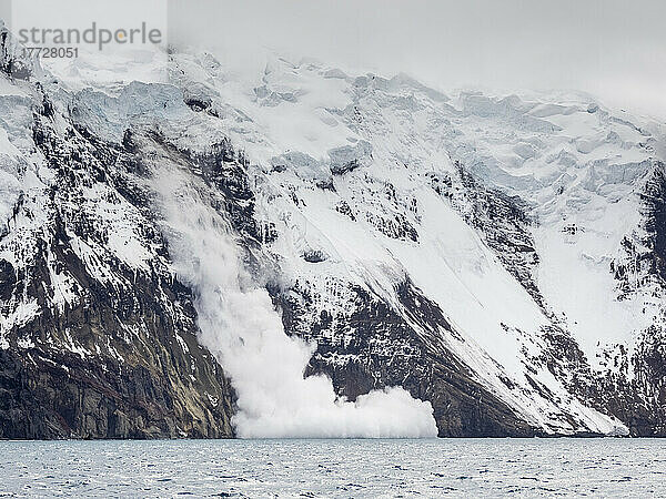 Eine Lawine fallenden Eises auf Thule Island  einer Vulkaninsel in den Südlichen Sandwichinseln  im Südatlantik und in den Polarregionen