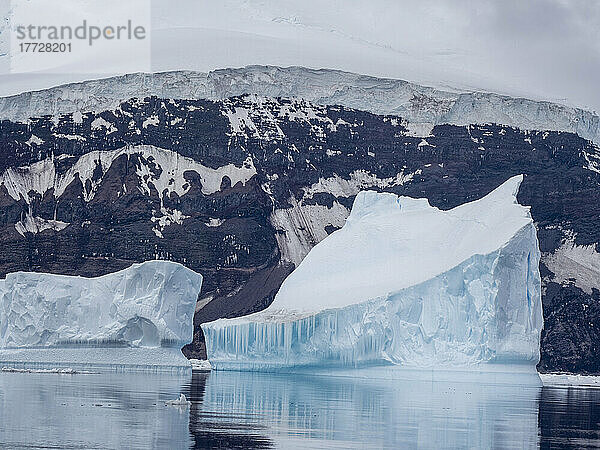 Eisberge umgeben den gletscherbedeckten Vulkan namens Peter-I-Insel im Bellingshausenmeer  Antarktis  Polarregionen