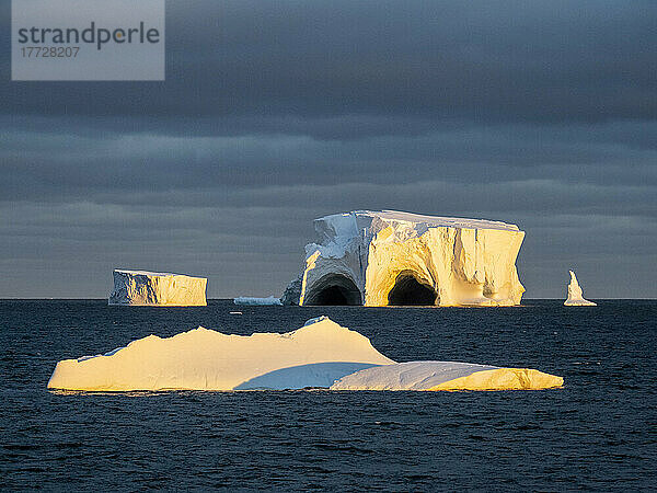 Große Eisberge schwimmen im Bellingshausenmeer  Antarktis  Polarregionen