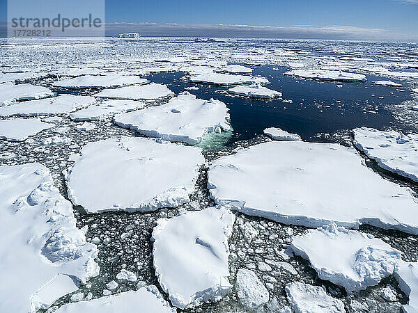 Erstjähriges Meereis mit eingeschlossenem Gletschereis in der Nähe der Petermann-Insel  Antarktis  Polarregionen