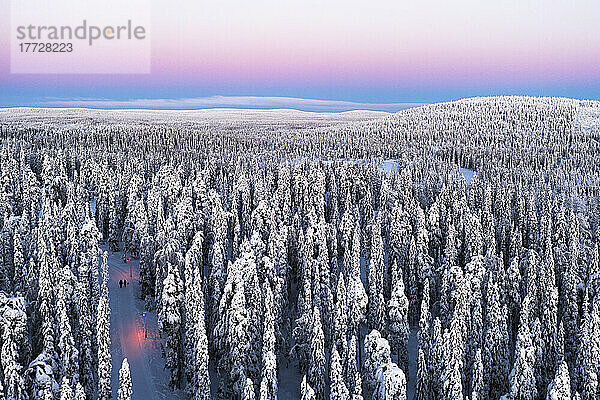 Luftaufnahme von zwei Wanderern  die im Morgengrauen im schneebedeckten Wald spazieren  Iso-Syote  Lappland  Finnland  Europa