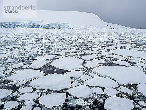 Meereis bildet sich  wenn die Temperatur in der Nähe von Pleneau Island  Antarktis  Polarregionen sinkt