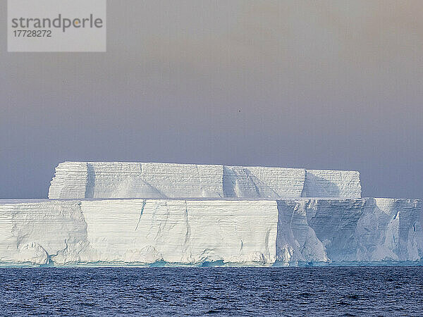 Tafelförmige Eisberge in der Nähe von Brown Bluff  Weddellmeer  Antarktis  Polarregionen