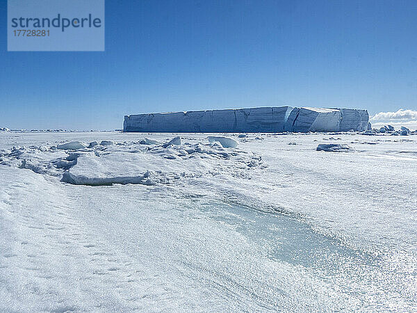 Tafeleis eingeschlossen im erstjährigen Meereis in der Nähe von Snow Hill Island  Weddellmeer  Antarktis  Polarregionen