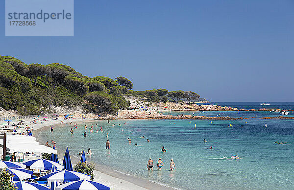 Touristen entspannen sich im seichten türkisfarbenen Wasser am Plage de Palombaggia  Porto-Vecchio  Corse-du-Sud  Korsika  Frankreich  Mittelmeer  Europa