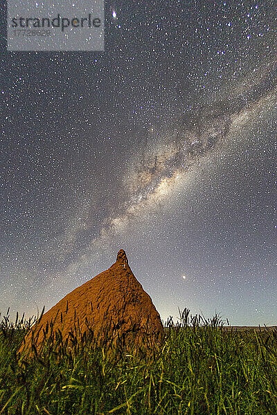 Die Milchstraße über Termitenhügel im Cape Range National Park  Exmouth  Westaustralien  Australien  Pazifik
