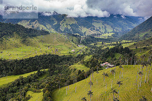 Luftaufnahme des Cocora-Tals  UNESCO-Weltkulturerbe  Kaffeekulturlandschaft  Salento  Kolumbien  Südamerika