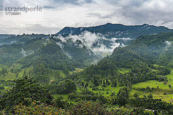 Blick über das Valle de Cocora  UNESCO-Weltkulturerbe  Kaffeekulturlandschaft  Salento  Kolumbien  Südamerika