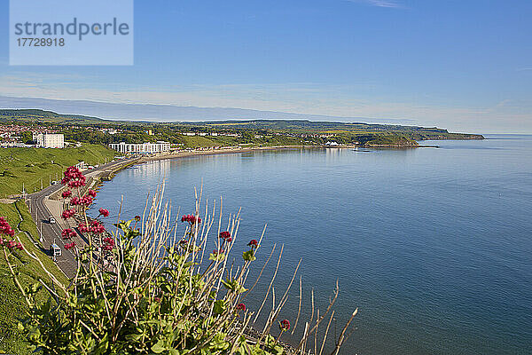 Blick auf North Bay  Scarborough  Yorkshire  England  Vereinigtes Königreich  Europa