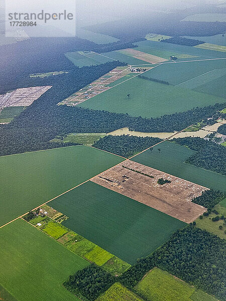 Aerial of the giant soy fields around Sinop  Mato Grosso  Brazil  South America