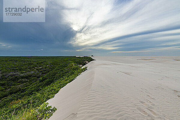 Sanddünen erheben sich aus dem grünen Dschungel  Nationalpark Lencois Maranhenses  Maranhao  Brasilien  Südamerika