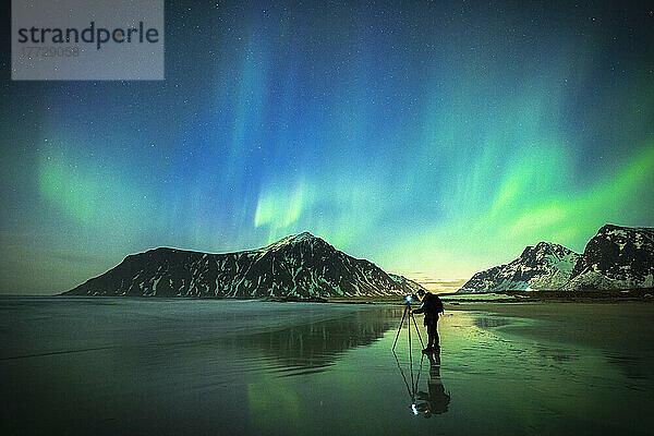 Person photographing the bright sky during Aurora Borealis (Northern Lights) standing on Skagsanden beach  Lofoten Islands  Norway  Scandinavia  Europe