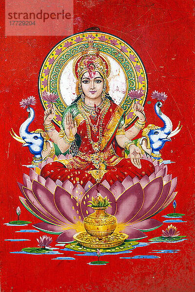 Lakshmi  eine der Hauptgöttinnen im Hinduismus  die Göttin des Reichtums  des Glücks  der Macht  der Schönheit und des Wohlstands  Kathmandu  Nepal  Asien