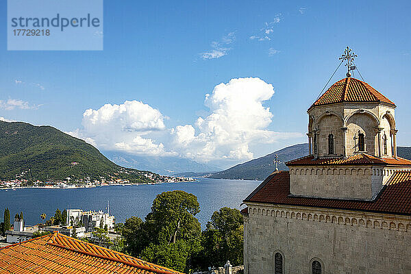 Blick vom Kloster Savina  Herceg Novi  Montenegro  Europa