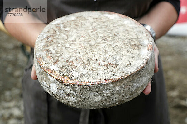 Traditioneller französischer Käse  Tomme de Savoie  Bergkäse  Haute-Savoie  Frankreich  Europa