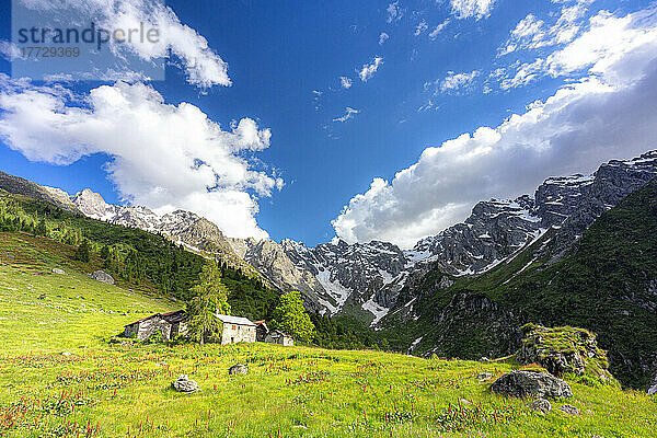 Einsame traditionelle Hüttengruppe in einem wilden Alpental  Val d'Arigna  Orobie  Valtellina  Lombardei  Italien  Europa