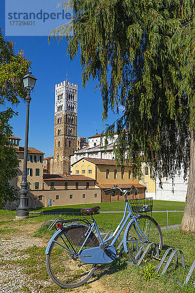 San Martino Duomo (Kathedrale St. Martin)  geparktes Fahrrad  Lucca  Toskana  Italien  Europa