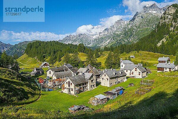 Alpe Crampiolo (Alpe Devero)  Parco Naturale Veglia-Devero  Val d'Ossola  V.C.O. (Verbano-Cusio-Ossola)  Piemont  Italien  Europa