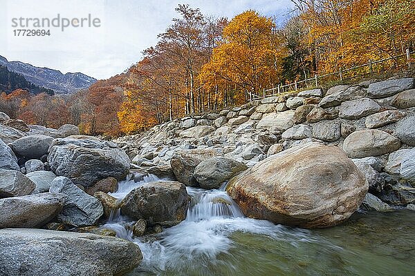 Fluss Cervo  Valle Cervo  Biella  Piemont  Italien  Europa