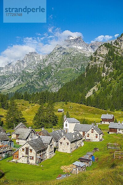 Alpe Crampiolo (Alpe Devero)  Parco Naturale Veglia-Devero  Val d'Ossola  V.C.O. (Verbano-Cusio-Ossola)  Piemont  Italien  Europa